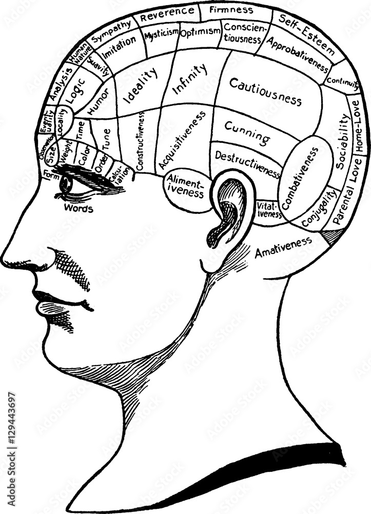 Obraz premium Vintage image phrenology