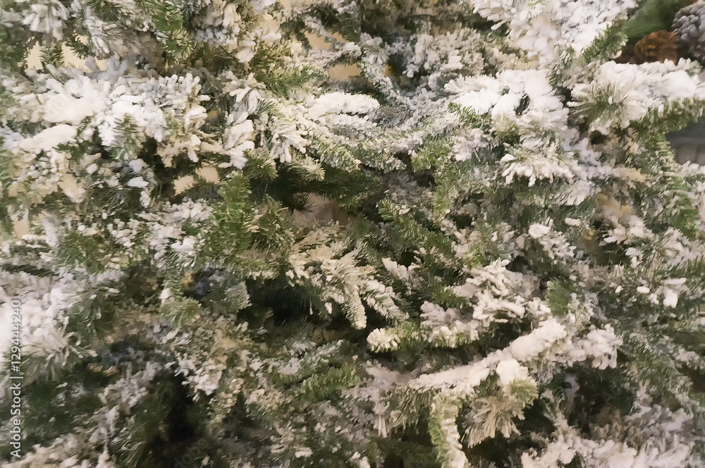 winter fir branch in snow. background.selective focus winter fir branch in snow. background.selective focus