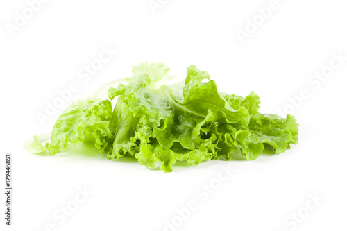 Ripe lettuce leaves 