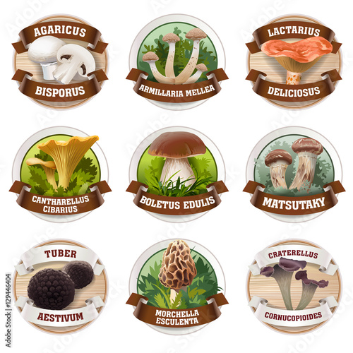 Vector set of mushroom logos, stickers