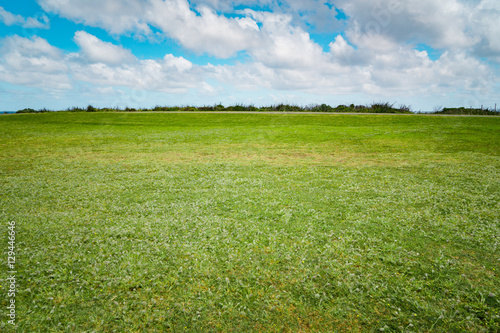 Fototapete green field and blue sky with dramaty clouds