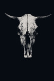 Skull of a cow or a bull isolated on a black background