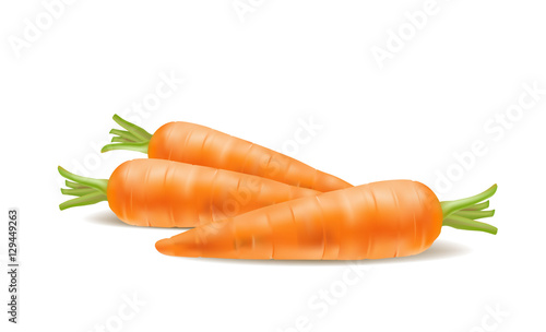 Illustration of fresh carrot on white background