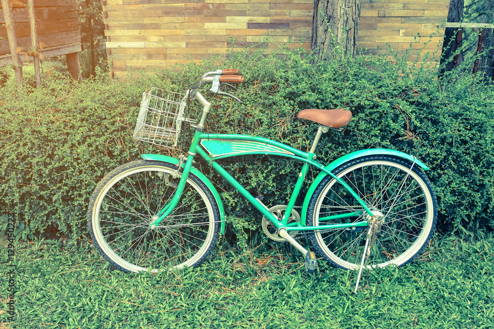 bicycle on leaf wall background