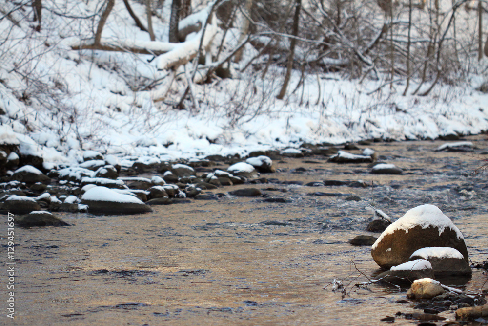 Fototapeta premium rivière en hiver