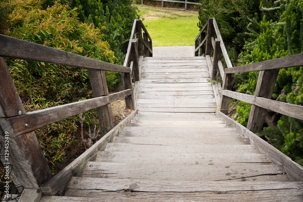 Fototapeta premium garden wooden stair