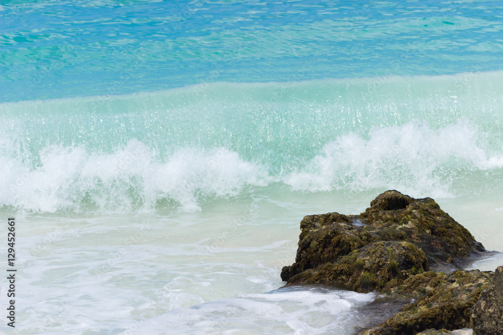 Fototapeta premium caribbean sea