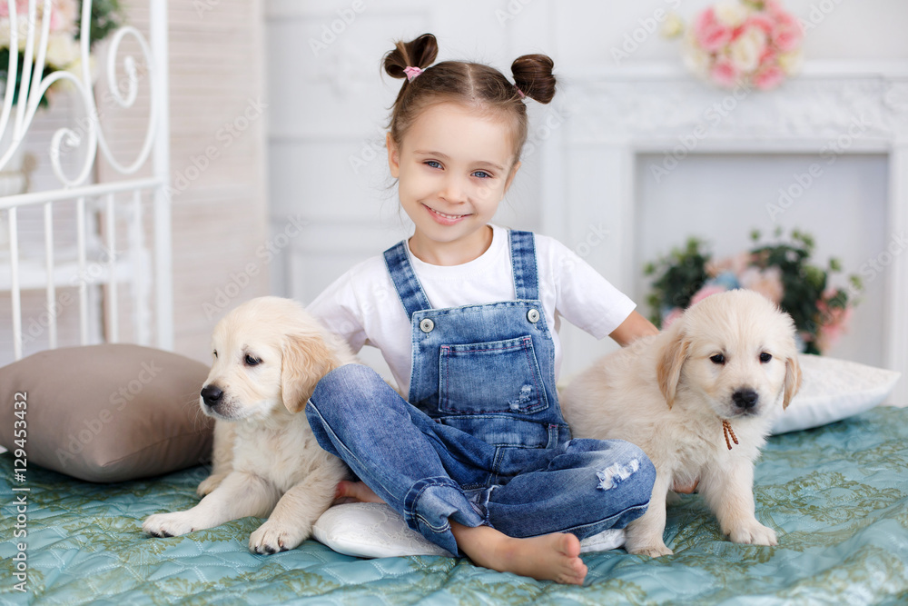 Little girl,brunette hair,tied with pink bands into two tails,dressed in a white t-shirt and blue denim overalls is playing at home,sitting alone on the bed with two puppies breed Golden Retriever Little girl,brunette hair,tied with pink bands into two tails,dressed in a white t-shirt and blue denim overalls is playing at home,sitting alone on the bed with two puppies breed Golden Retriever