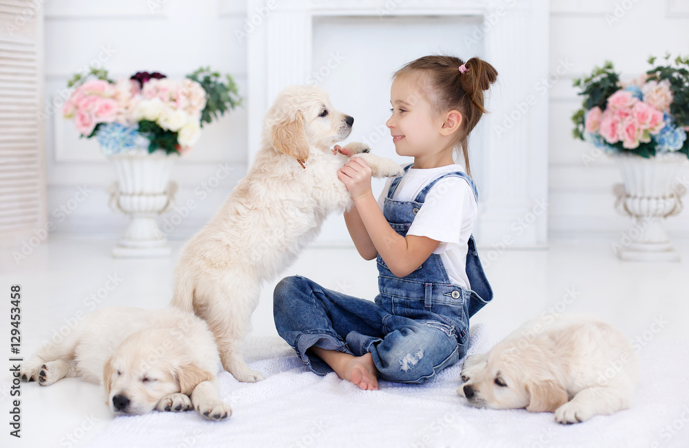 Little girl,brunette hair,tied with pink bands into two tails,dressed in a white t-shirt and blue denim overalls is playing at home,sitting alone on the bed with three puppies Golden Retriever Little girl,brunette hair,tied with pink bands into two tails,dressed in a white t-shirt and blue denim overalls is playing at home,sitting alone on the bed with three puppies Golden Retriever