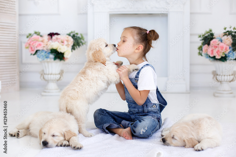 Little girl,brunette hair,tied with pink bands into two tails,dressed in a white t-shirt and blue denim overalls is playing at home,sitting alone on the bed with three puppies Golden Retriever Little girl,brunette hair,tied with pink bands into two tails,dressed in a white t-shirt and blue denim overalls is playing at home,sitting alone on the bed with three puppies Golden Retriever