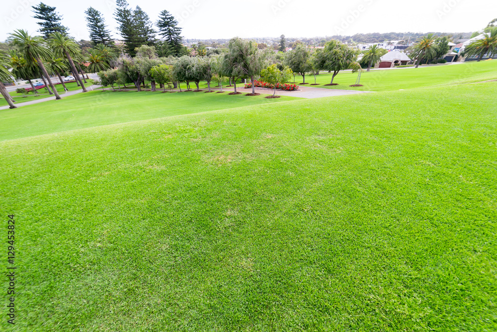 Obraz premium Panorama view of beautiful summer park