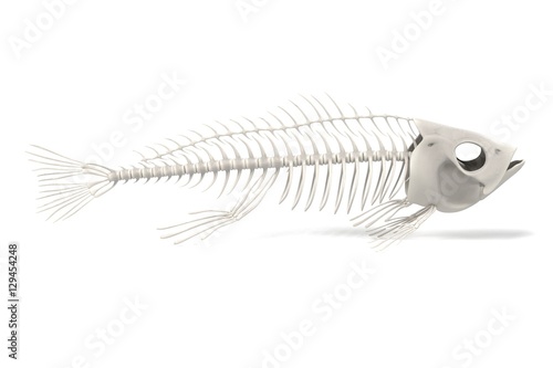 realistic 3d render of fish skeleton