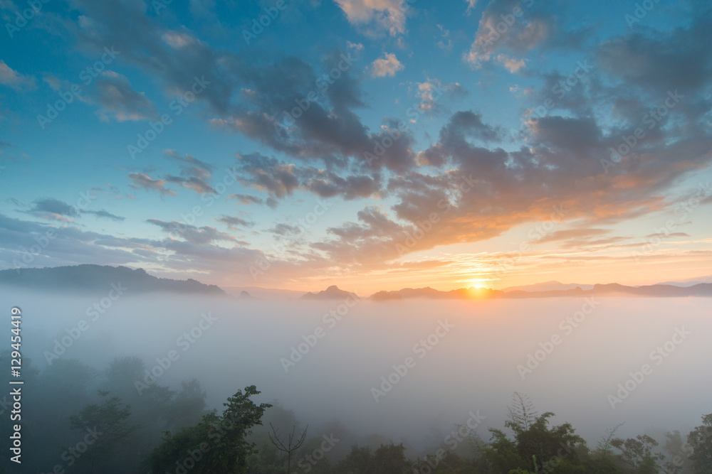 Fototapeta premium Morning view with beautiful nature.