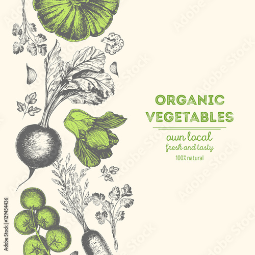Organic food card design. Farmers market menu design. Organic food poster. Vintage hand drawn sketch vector illustration. Linear graphic