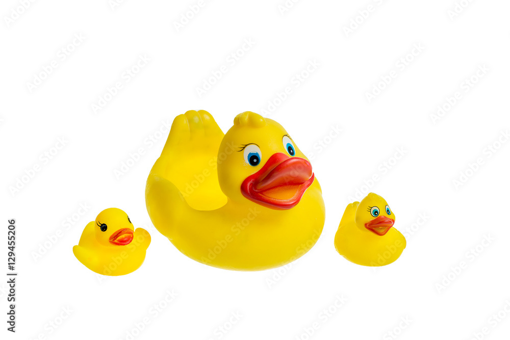 Cute yellow rubber duck isolated over white background. The family of ...
