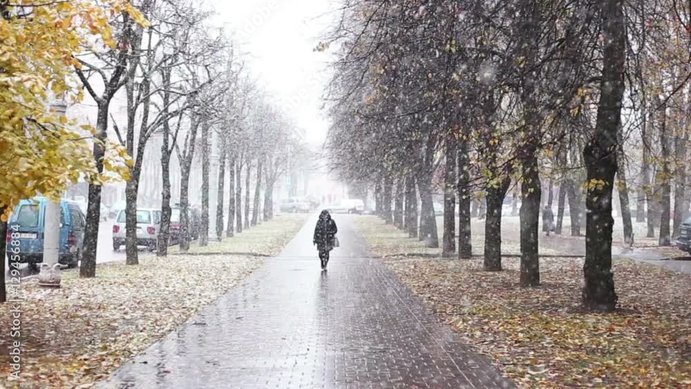 Snowy weather outdoors.