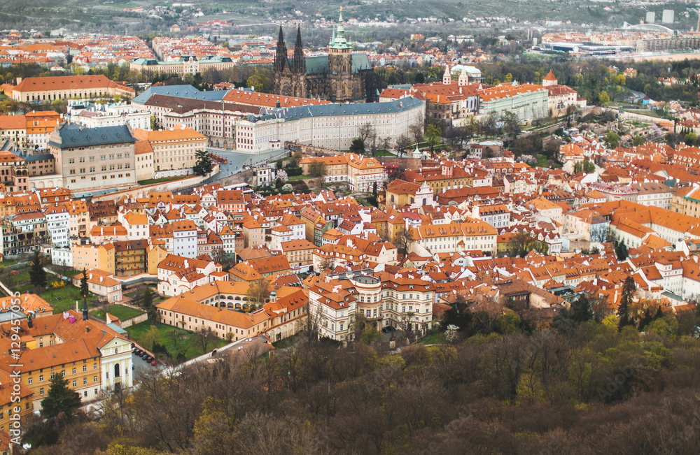 Types Prague red roof home city panorama