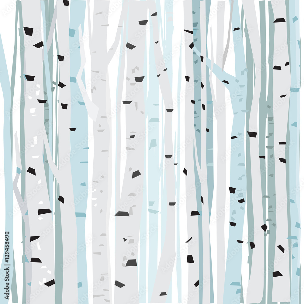 Birch forest vector background. Birch forest pattern. Background of trees