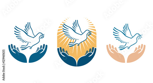 Dove bird carrying olive branch in beak as a peace symbol. Vector logo or icon