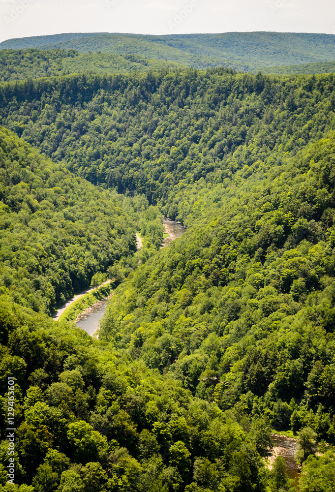 Fototapeta premium Pine Creek Gorge