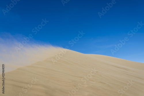 Sand dune  desert