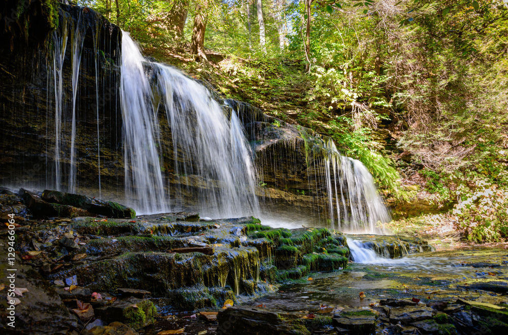 Fototapeta premium Ricketts Glen State Park