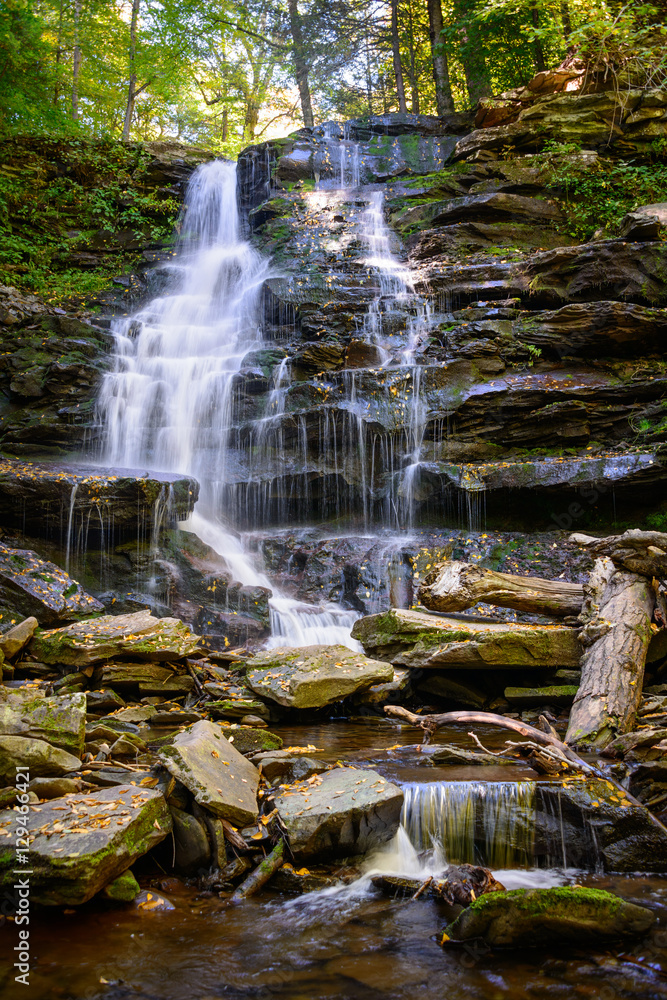 Fototapeta premium Ricketts Glen State Park