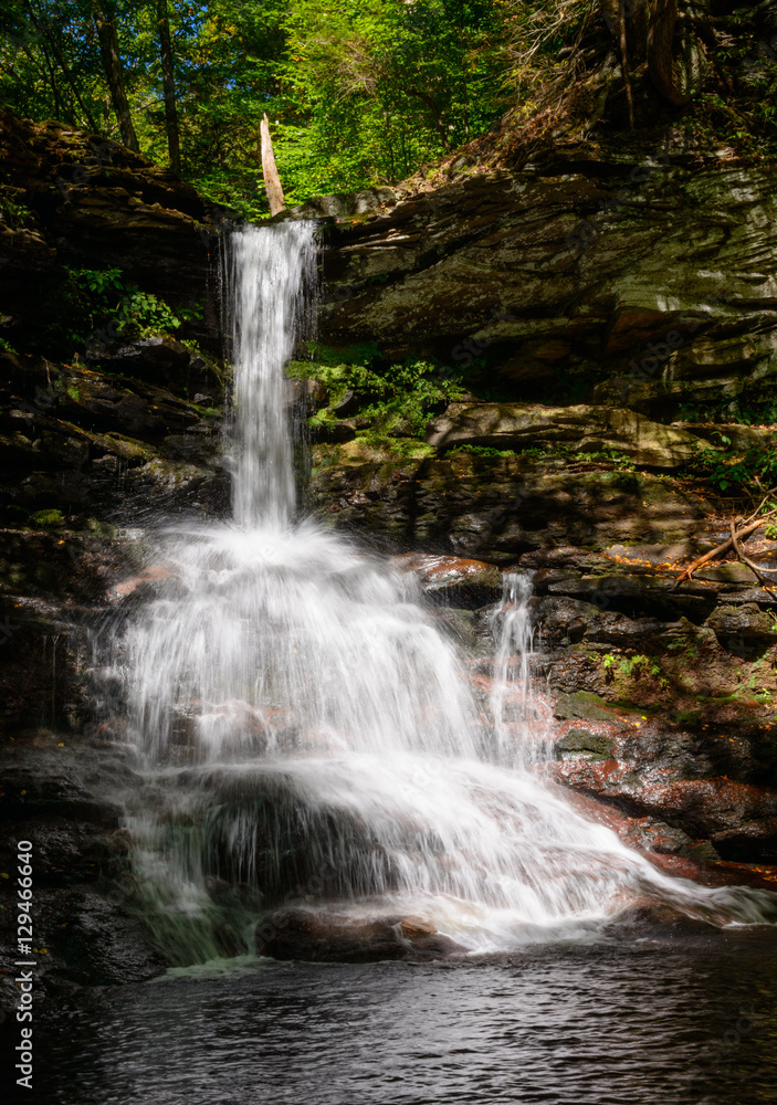 Fototapeta premium Ricketts Glen State Park
