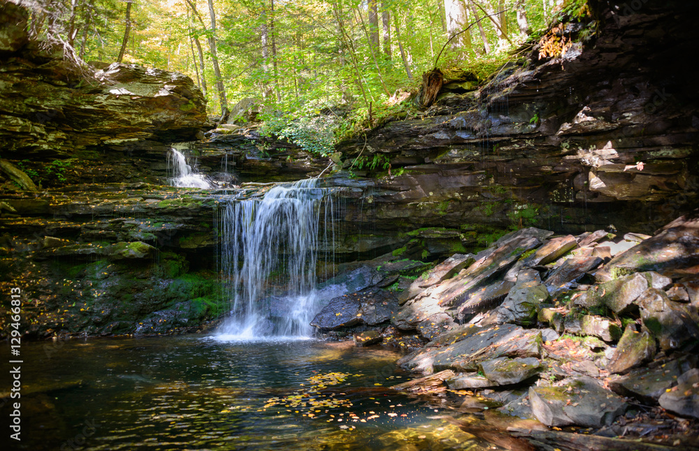 Obraz premium Ricketts Glen State Park