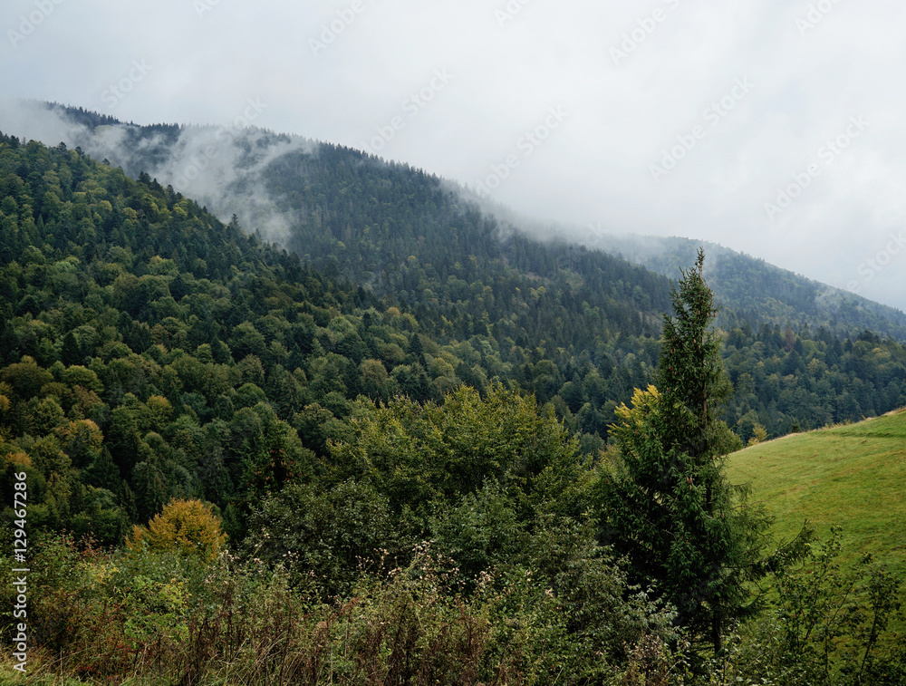 Beautiful landscape in the Carpathian mountains