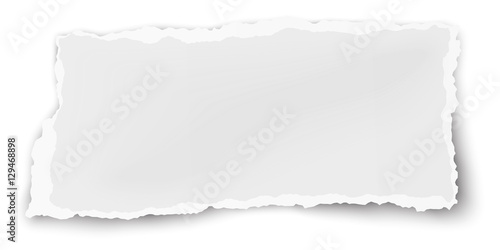 Vector oblong paper scrap isolated on white background