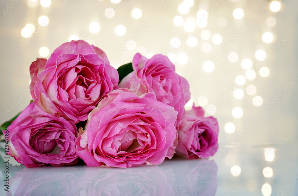 beautiful pink roses beautiful pink roses