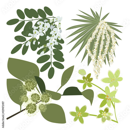 Set of drawing wild flowers, herbs and leaves, painted field plants, botanical illustration in flat style, colored floral collection, hand drawn vector image eps10