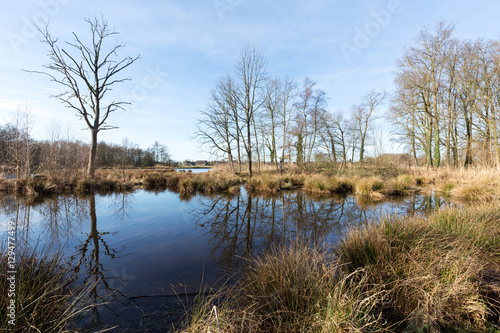 Lake De Witt Winter Panorama / Germany