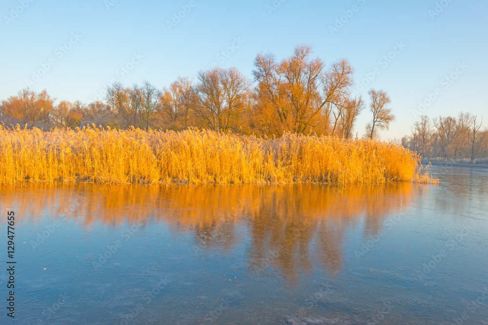 Shore of a frozen lake in sunlight in winter Shore of a frozen lake in sunlight in winter