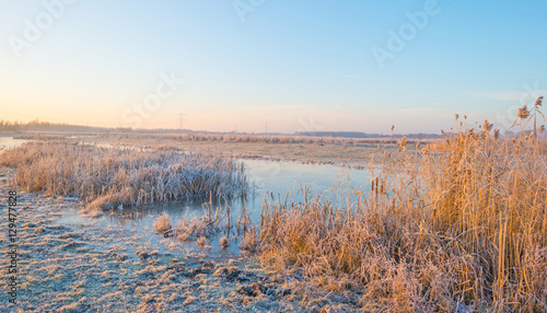 Shore of a frozen lake in sunlight in winter
