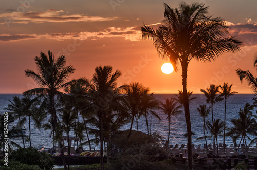 Tropical island sunset with palm tree silhouettes and red sky © Lux Blue