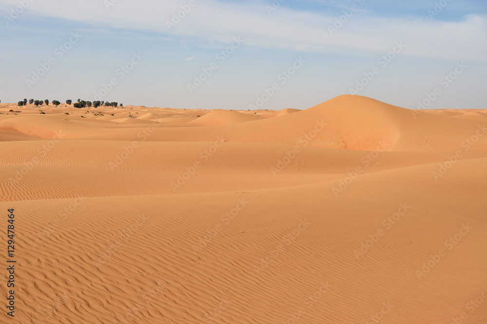 Sandwüste