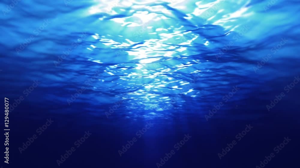 custom made wallpaper toronto digitalUnderwater scene. Loopable. 2 in 1. Blue.