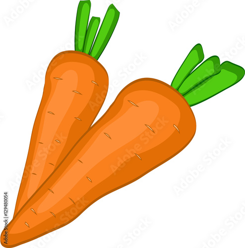 carrot