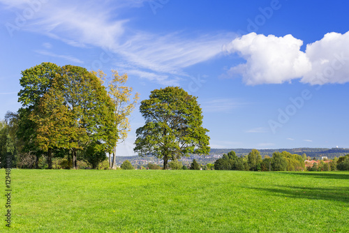 Grassy meadow with trees sky clouds