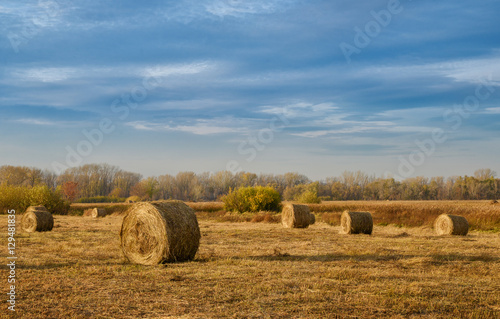 Hay bales in a autumn field
