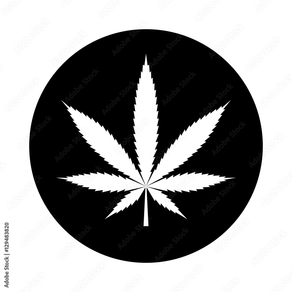 Weed Leaf Black And White Background