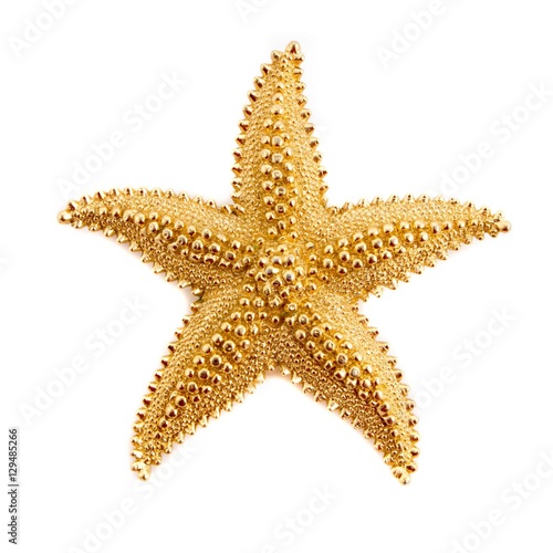 Star fish Pendant
