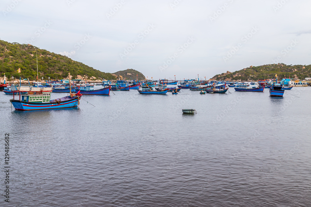 Fishing boats harboured in a bay