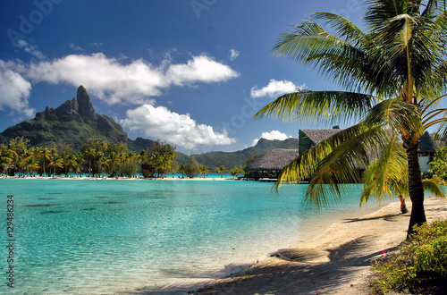 Serene Bora Bora beach scene  a South Pacific island with palm trees  green ocean and mountains background