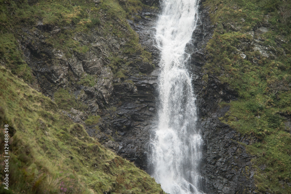 Greymares Tail