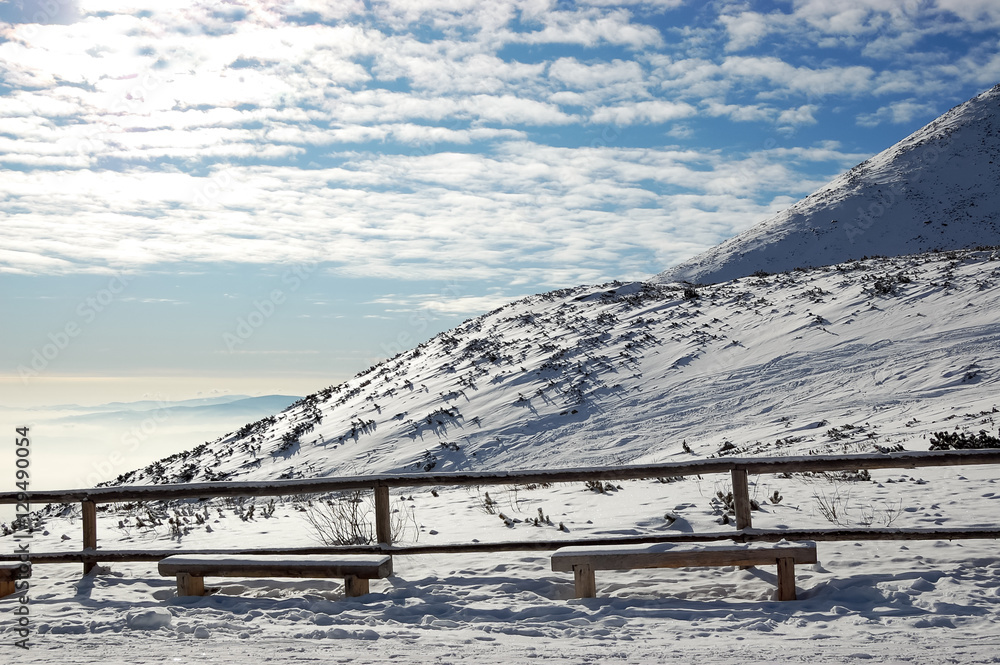 Obraz premium View of sunny mountain slope n High Tatras.