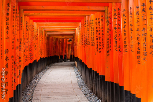 Thousands of torii gates at Fushimi Inari Shrine in Kyoto, Japan