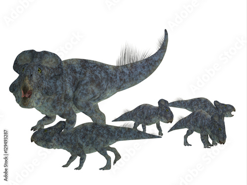 Protoceratops Mother with Offspring - Protoceratops was a herbivorous Ceratopsian dinosaur that lived in Mongolia in the Cretaceous Period. © Catmando